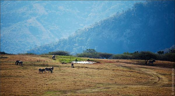 Обзор Сафари-Парка в ЮАР