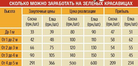 Подработав на Новый год можно заработать от 1500 до 7000 грн