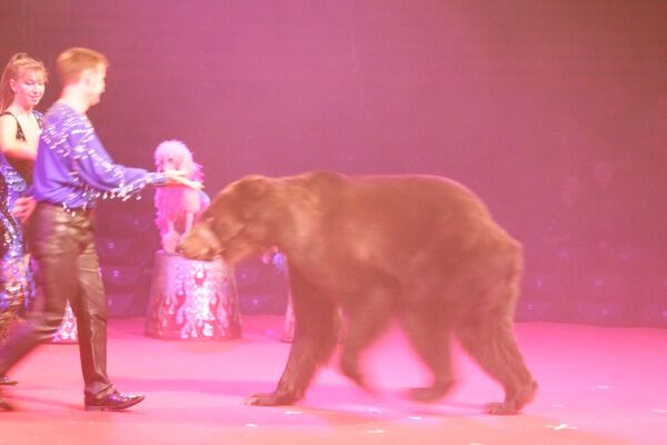 "Обозреватель" подарил детям-сиротам чудеса Китая. ФОТО