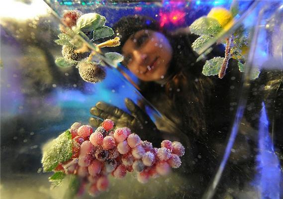 Крижана галерея в Москві