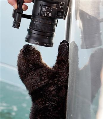 Картина дня 13 грудня у фотографіях