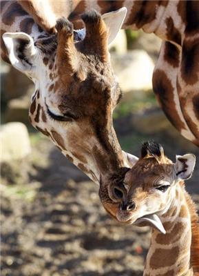 Картина дня 13 грудня у фотографіях