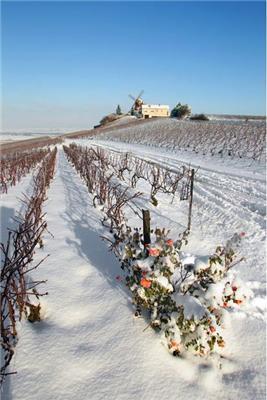 Картина дня 13 грудня у фотографіях