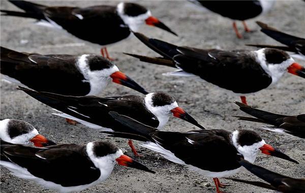 Картина дня 14 грудня у фотографіях