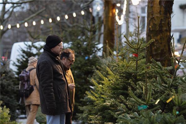 Полювання на різдвяні ялинки в Німеччині