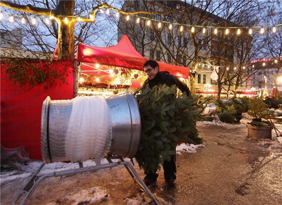 Полювання на різдвяні ялинки в Німеччині