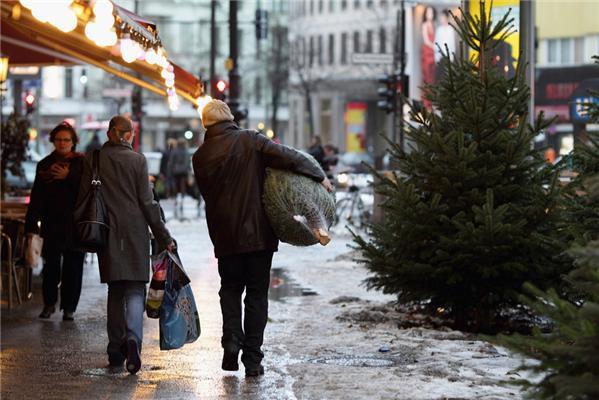 Полювання на різдвяні ялинки в Німеччині