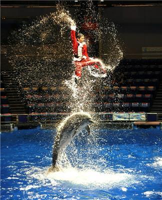 Різдвяне шоу на арені Водного стадіону в Токіо