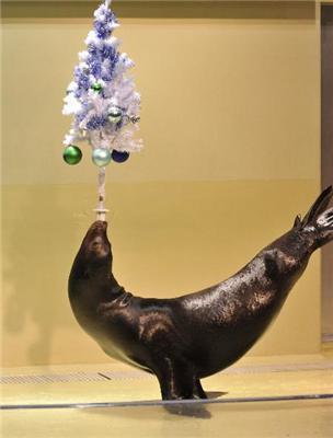 Різдвяне шоу на арені Водного стадіону в Токіо