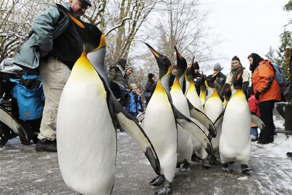 Картина дня: 15 грудня о фотографіях