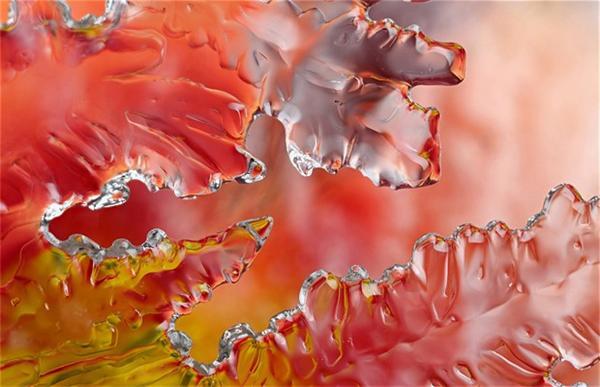 Макрофотографії сніжинок й інею від Брайана Валентайна