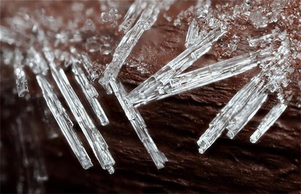 Макрофотографії сніжинок й інею від Брайана Валентайна