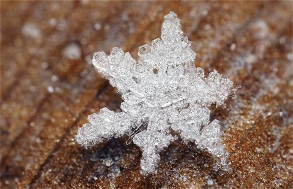 Макрофотографії сніжинок й інею від Брайана Валентайна
