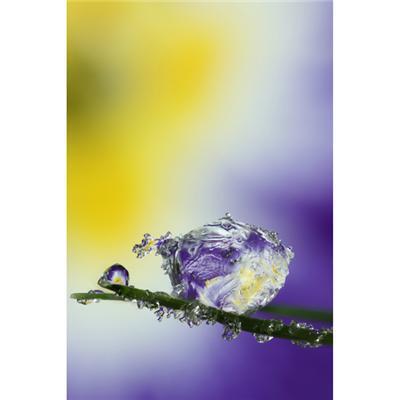 Макрофотографії сніжинок й інею від Брайана Валентайна