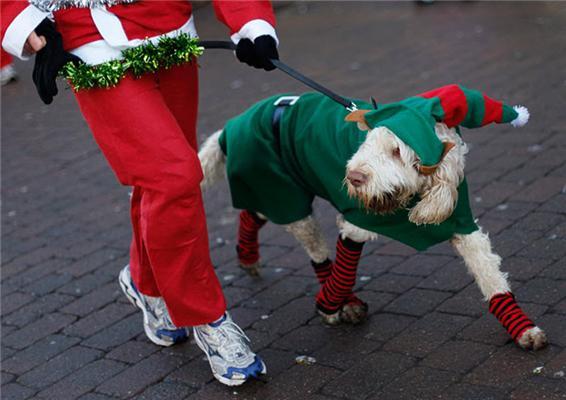 Різдвяні фото з усього світу