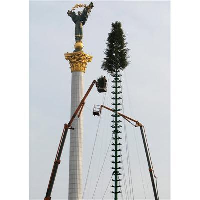 Різдвяні фото з усього світу