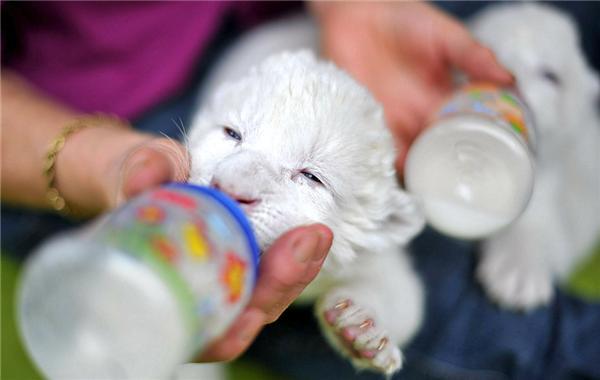 Картина дня: 16 декабря у фотографіях