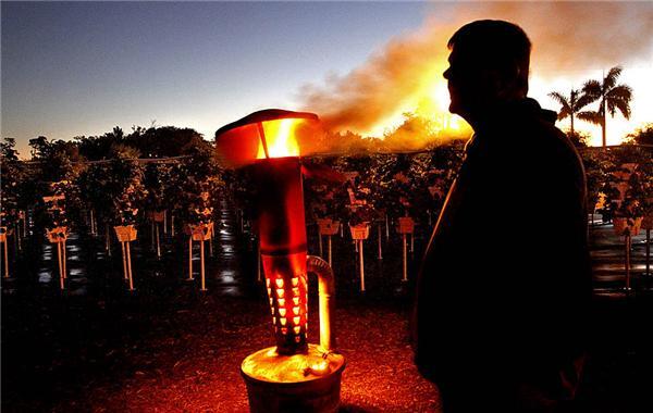 Картина дня: 16 декабря у фотографіях