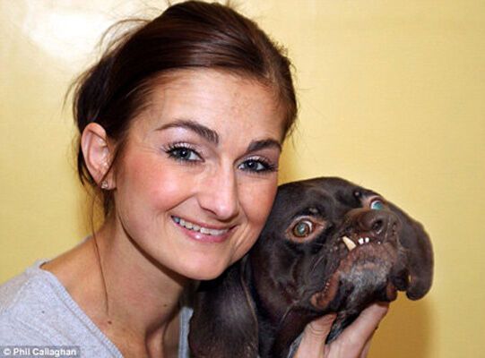 Самая уродливая собака в Британии нашла хозяина. ФОТО