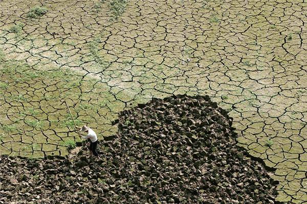 Картина дня: 17 грудня о фотографіях