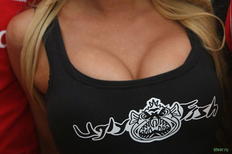 Самые сексуальные девушки Формулы-1. ФОТО