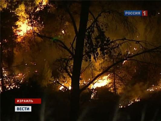 Природный пожар в Израиле стремительно разрастается