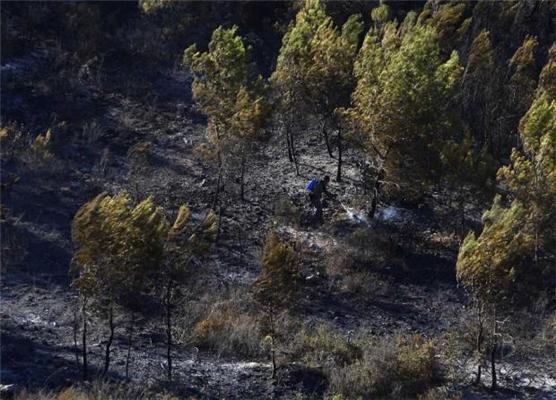Израиль охвачен огнем. Европа помогает тушить пожары.ФОТО