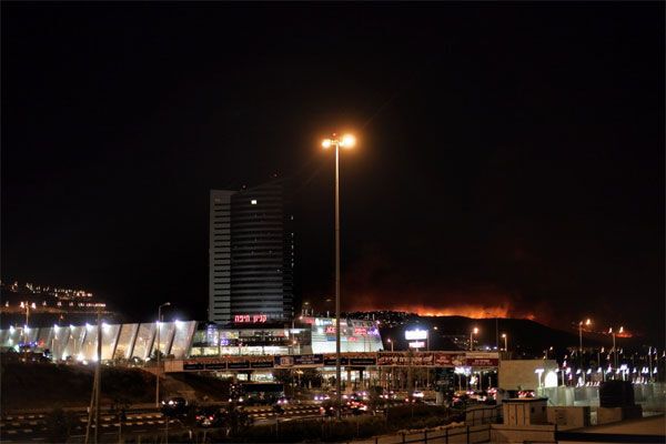 В Ізраїлі продовжує бушувати пожежа. ФОТО. ВІДЕО