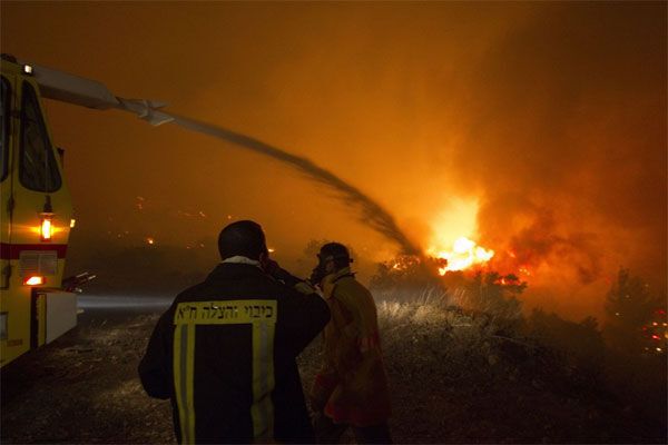 В Израиле продолжает бушевать пожар. ФОТО. ВИДЕО