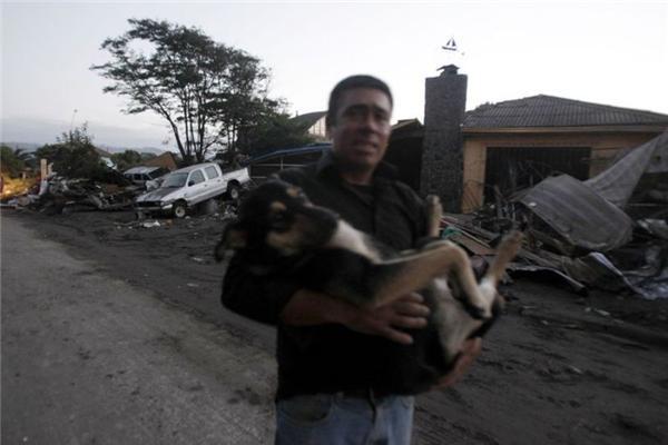 Кращі фото агентства Reuters за 2010 рік