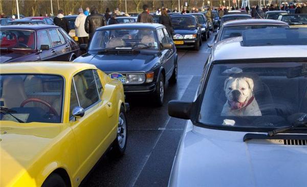 Кращі фото агентства Reuters за 2010 рік