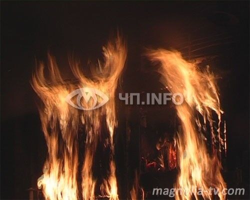 Трансформаторная будка сгорела на глазах у пожарников (ФОТО)