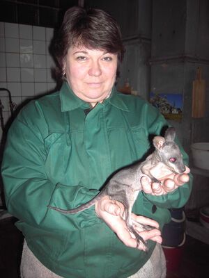 В киевском зоопарке творятся весенние чудеса. ФОТО