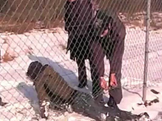 Снимки секретных объектов НАТО попали в Интернет. ВИДЕО