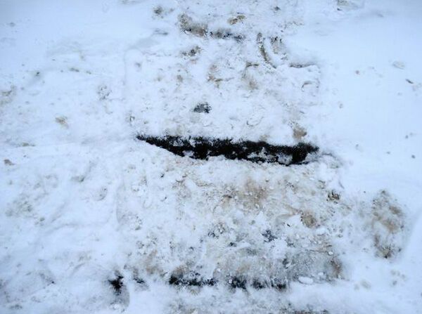 Снежная зима превратила жизнь горожан в кошмар (ФОТО)