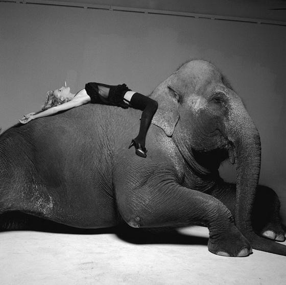 Эротика 90-х от Дэрил Ханны