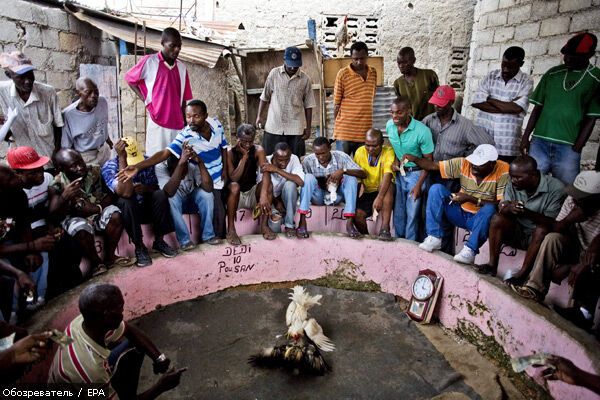 Життя після катастрофи. Кращі фото з Гаїті