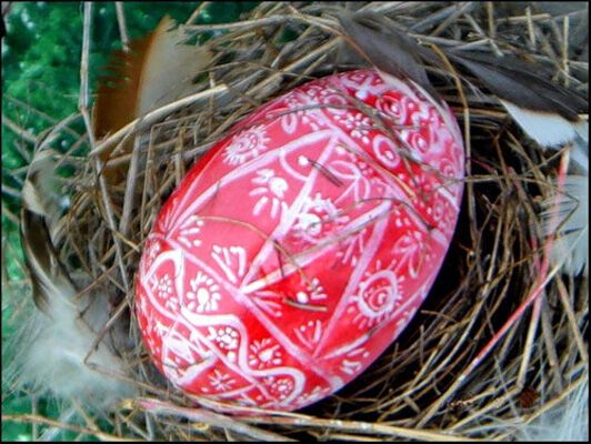 Рисуйте на пасхальных писанках сосну - будете здоровы! ФОТО