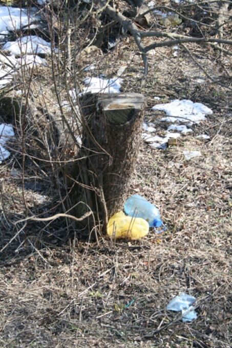 В Киеве уничтожен парк "Орлятко" (ФОТО)