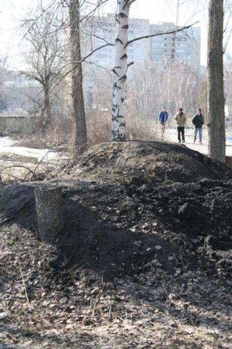 В Киеве уничтожен парк "Орлятко" (ФОТО)