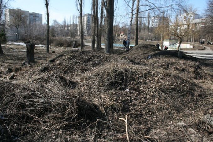 В Киеве уничтожен парк "Орлятко" (ФОТО)