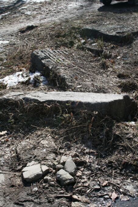 В Киеве уничтожен парк "Орлятко" (ФОТО)