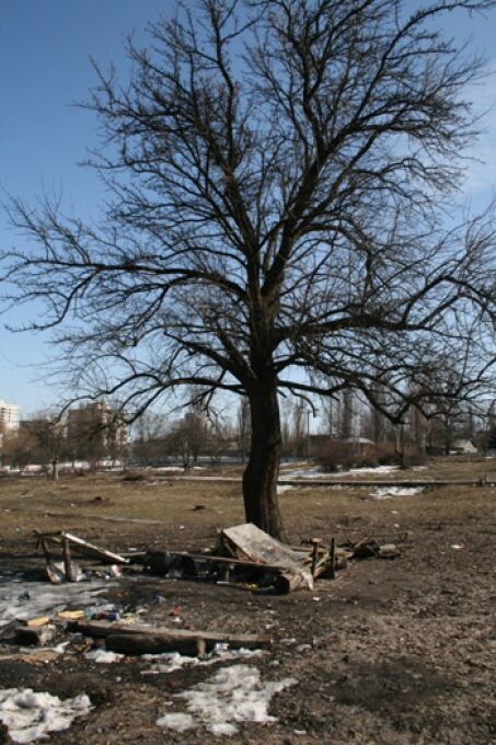В Киеве уничтожен парк "Орлятко" (ФОТО)