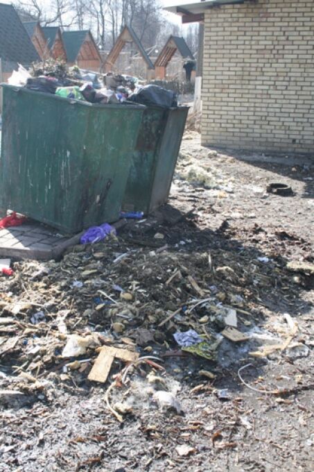 В Киеве уничтожен парк "Орлятко" (ФОТО)