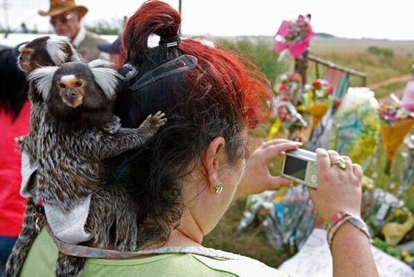 12 апреля 2010 года в фотографиях