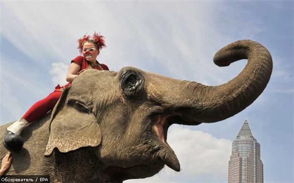 14 апреля 2010 года в фотографиях