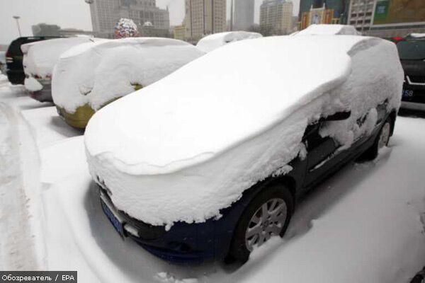 14 апреля 2010 года в фотографиях