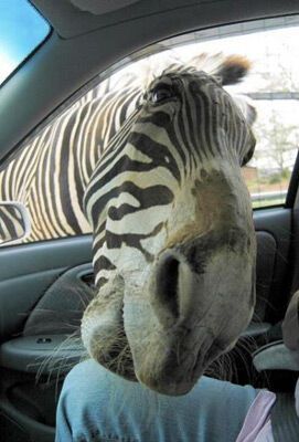 14 апреля 2010 года в фотографиях