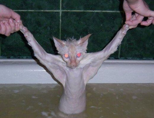 14 апреля 2010 года в фотографиях