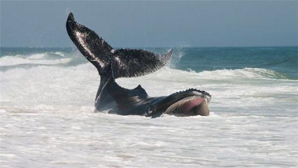 14 апреля 2010 года в фотографиях